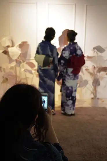 No Occasion to Wear Kimono?